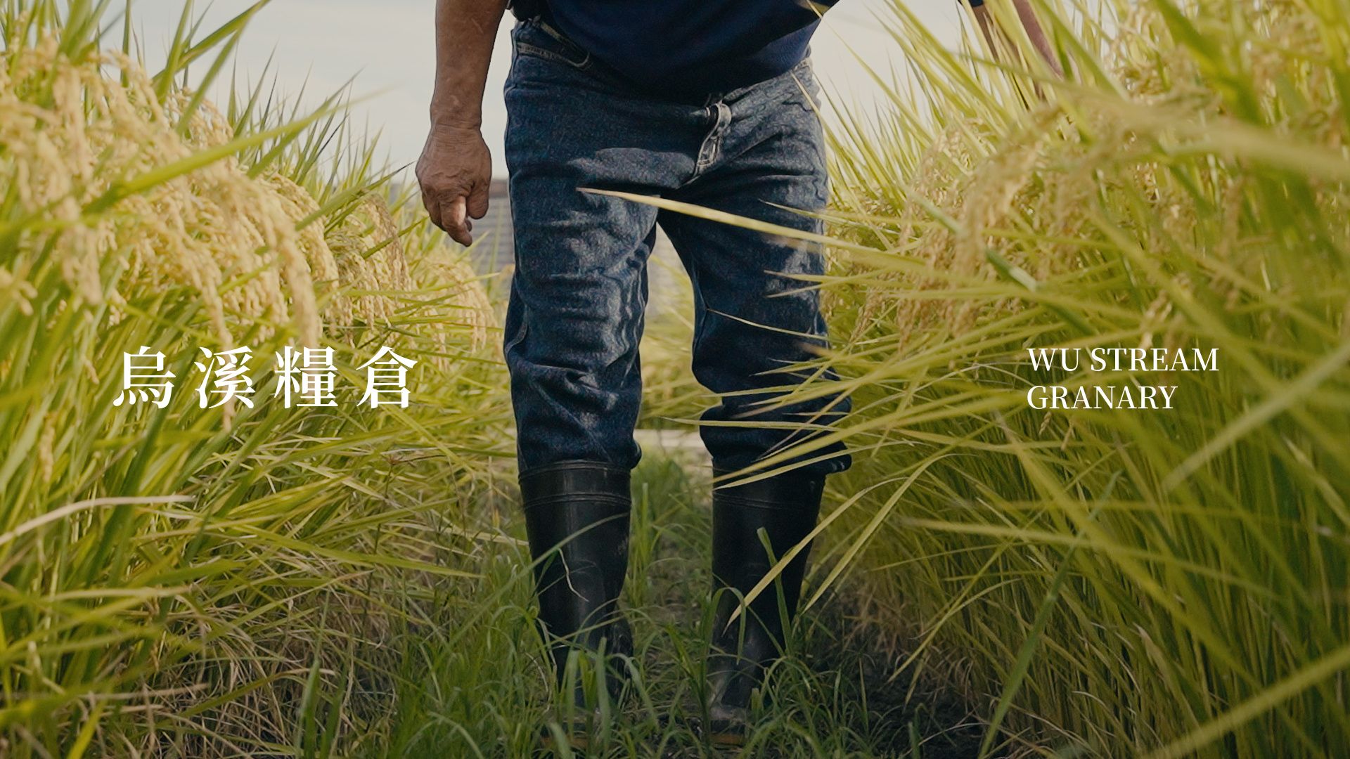Wuxi Granary